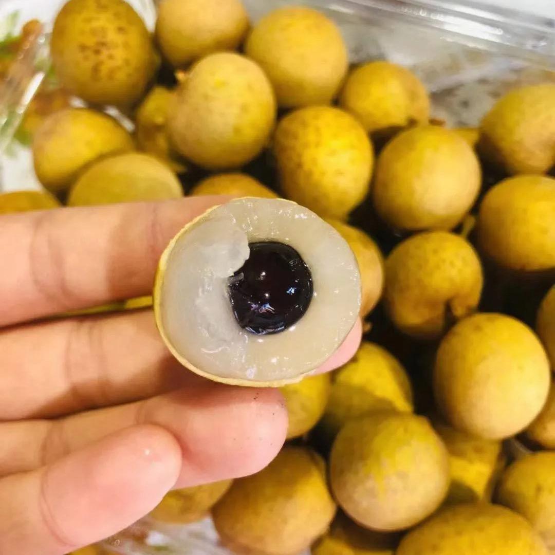 泰国金标大龙眼