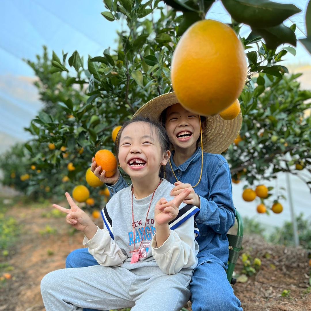 老罗卖水果（赣南百香果季）