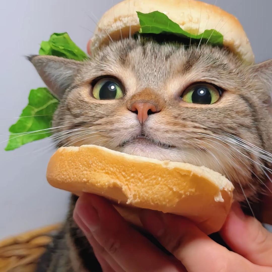 柑橘栀子花🍊🍊