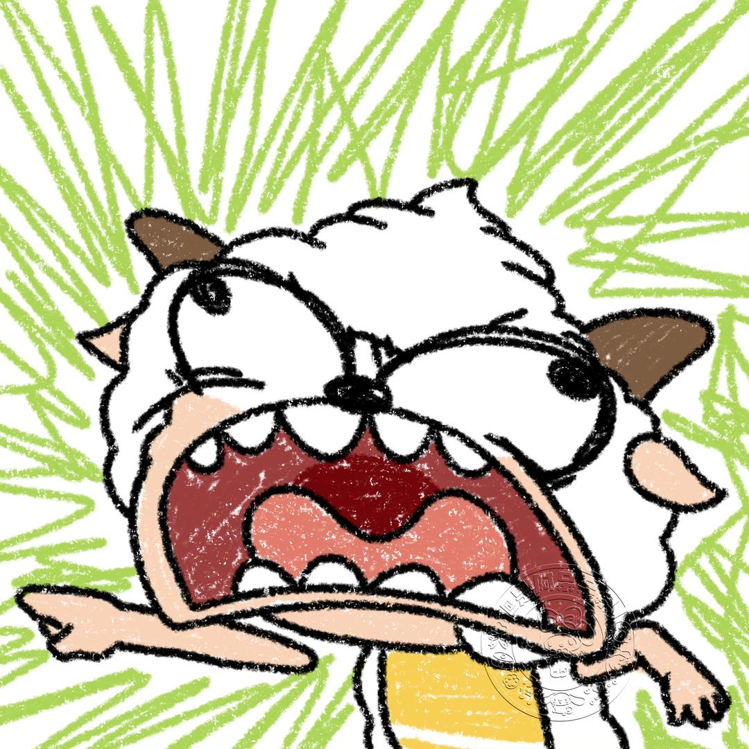 好运猪比