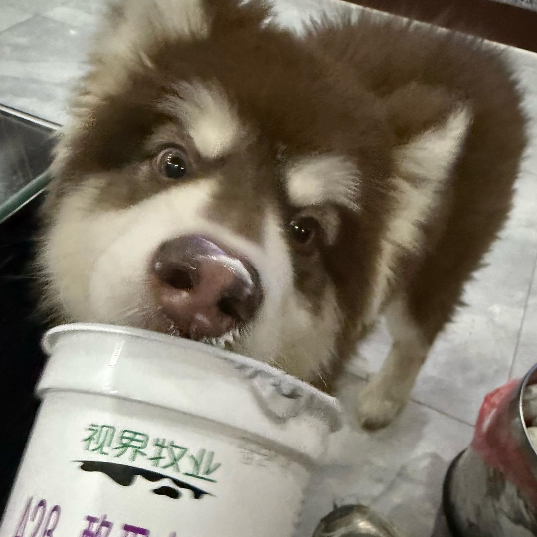 晕晕