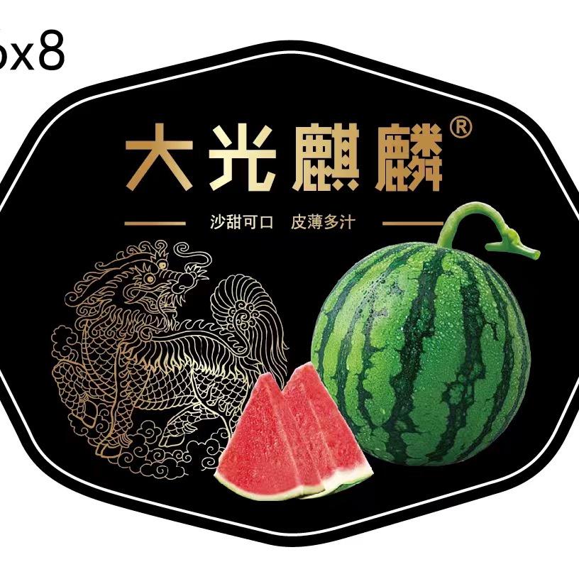 科艺农业《大光麒麟》
