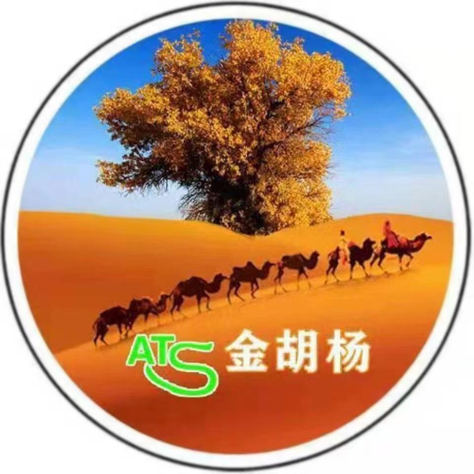 新疆金胡杨国际旅行社