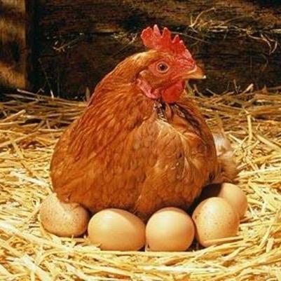 玉兰家生态农场