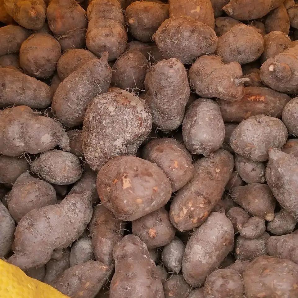 药材买卖（刚哥）
