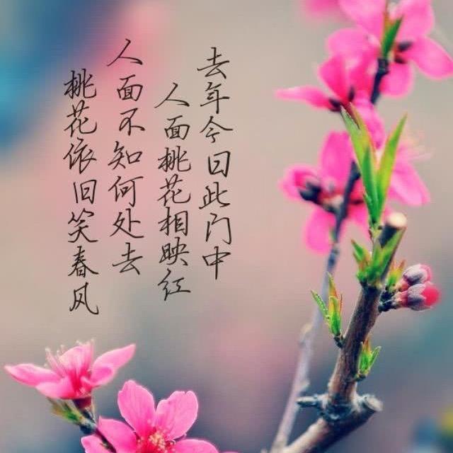 ℡青青子衿