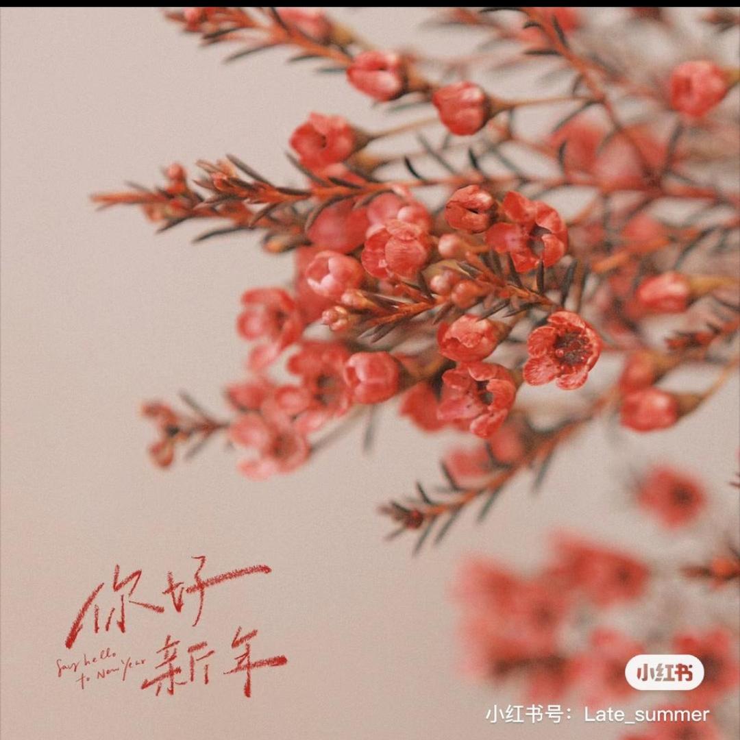 果湘年貨