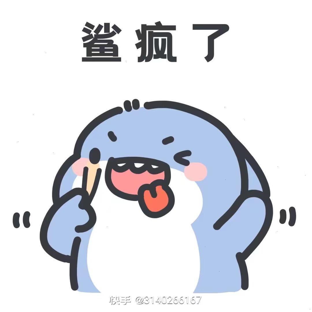 爱流浪的小猫