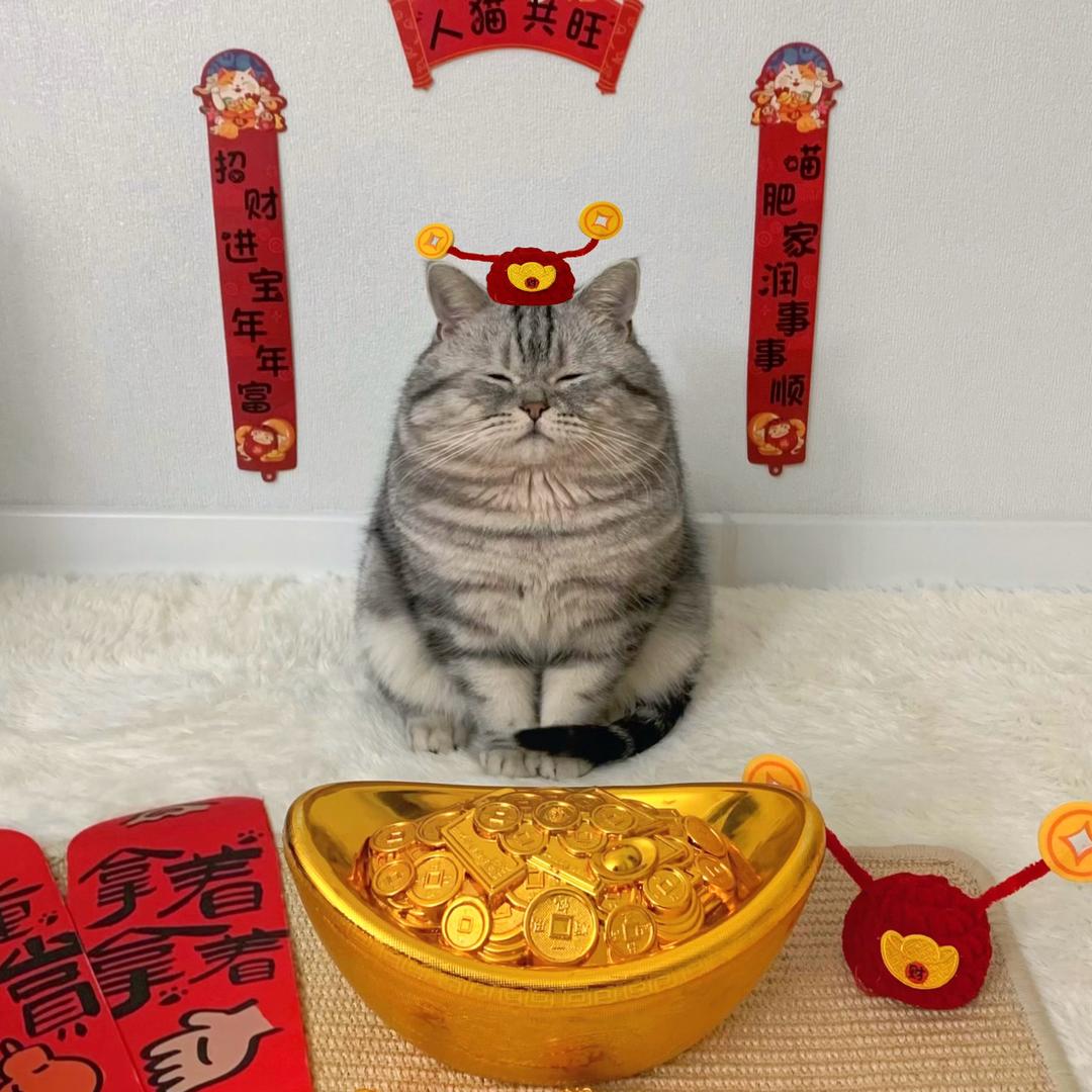 小汤圆子💤