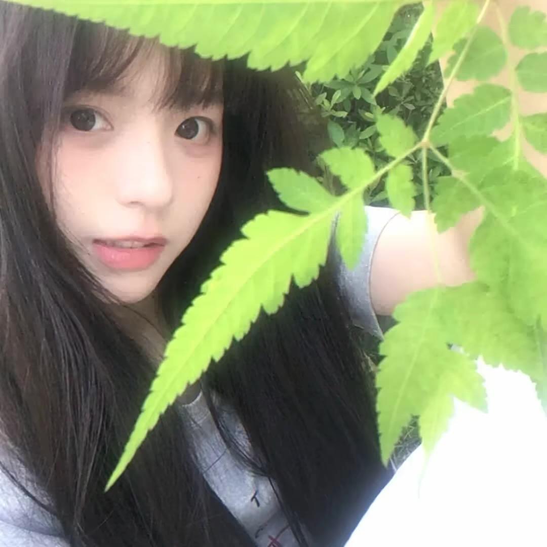 越越酱