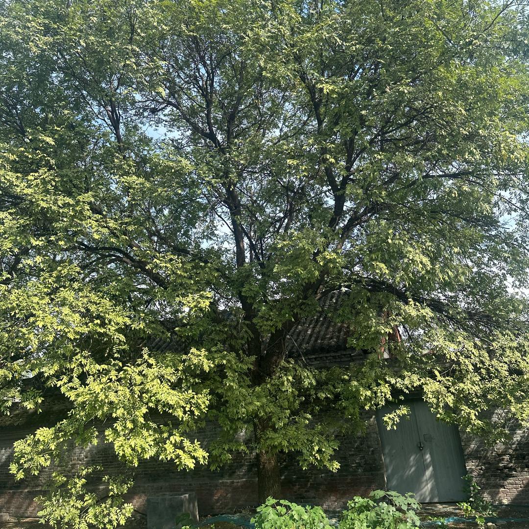 👨🏻💻👨🏻💻