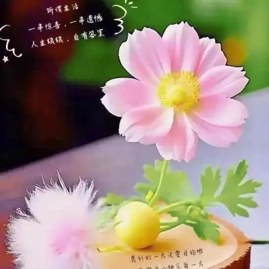 泡泡水