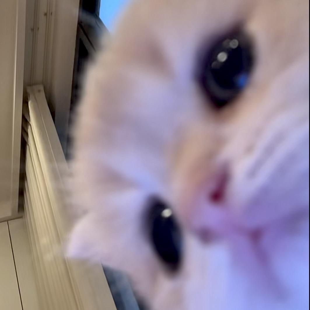 不愿