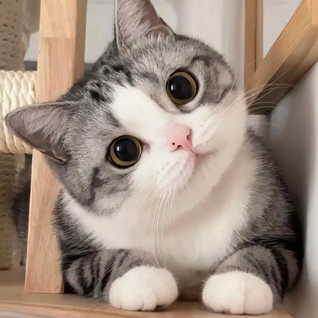 叁丶壹肆壹伍玖贰陆👧🏻