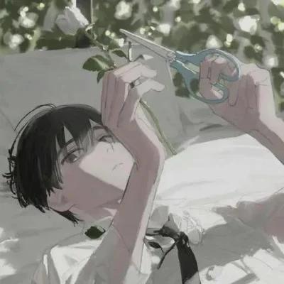 晚风吹