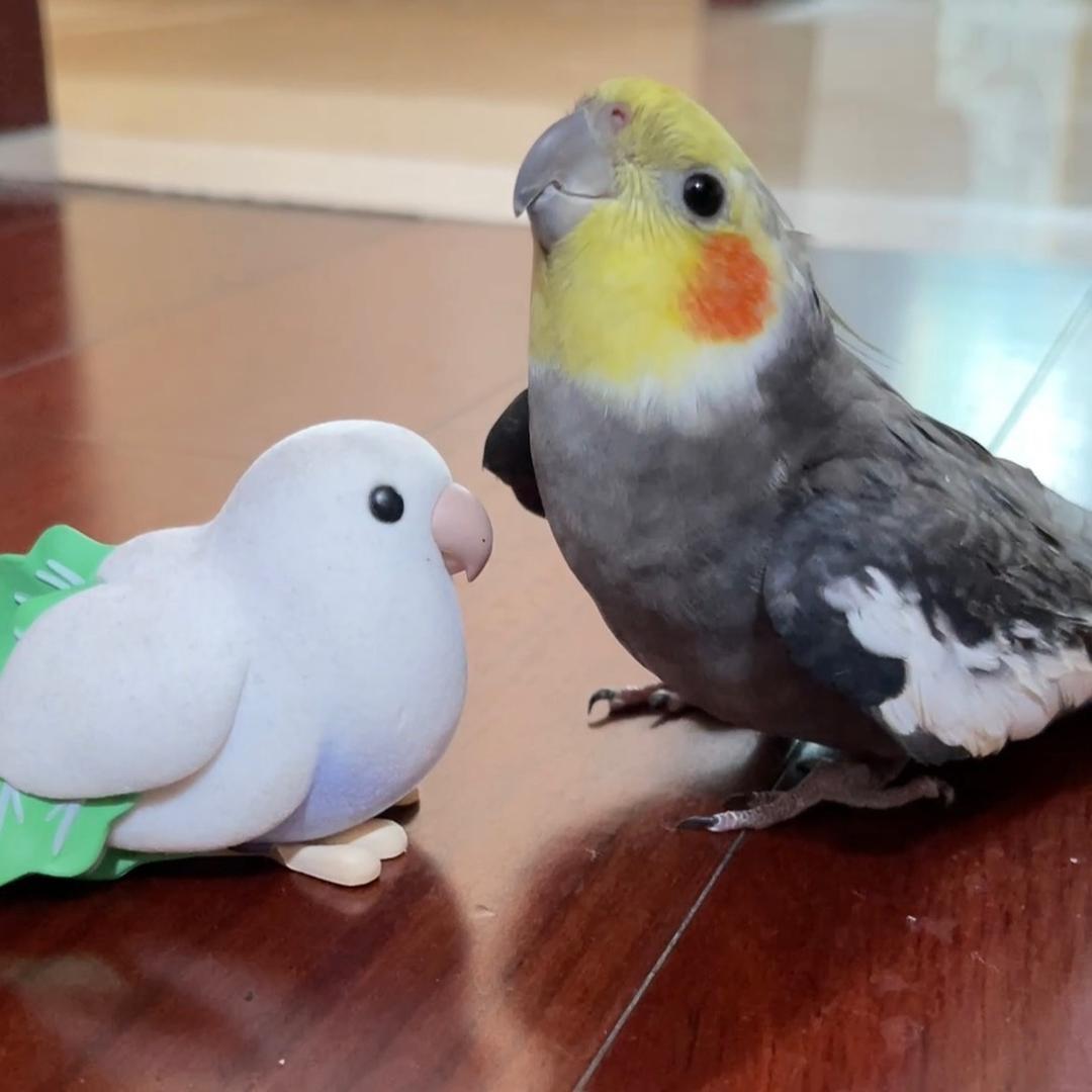 菠萝味可乐