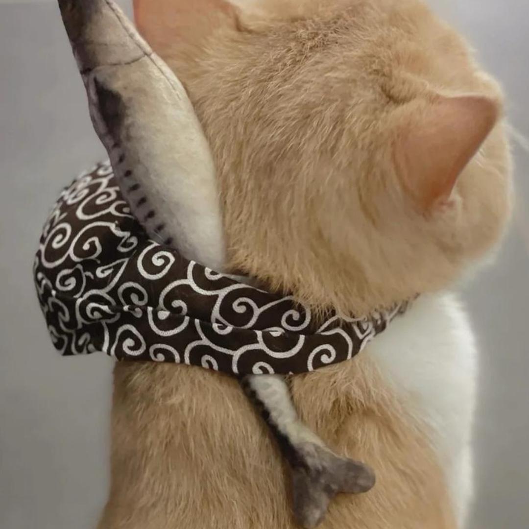 Y.𝓵𝓲𝓷𝓰…❤︎