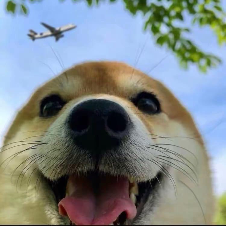 亲爱的城