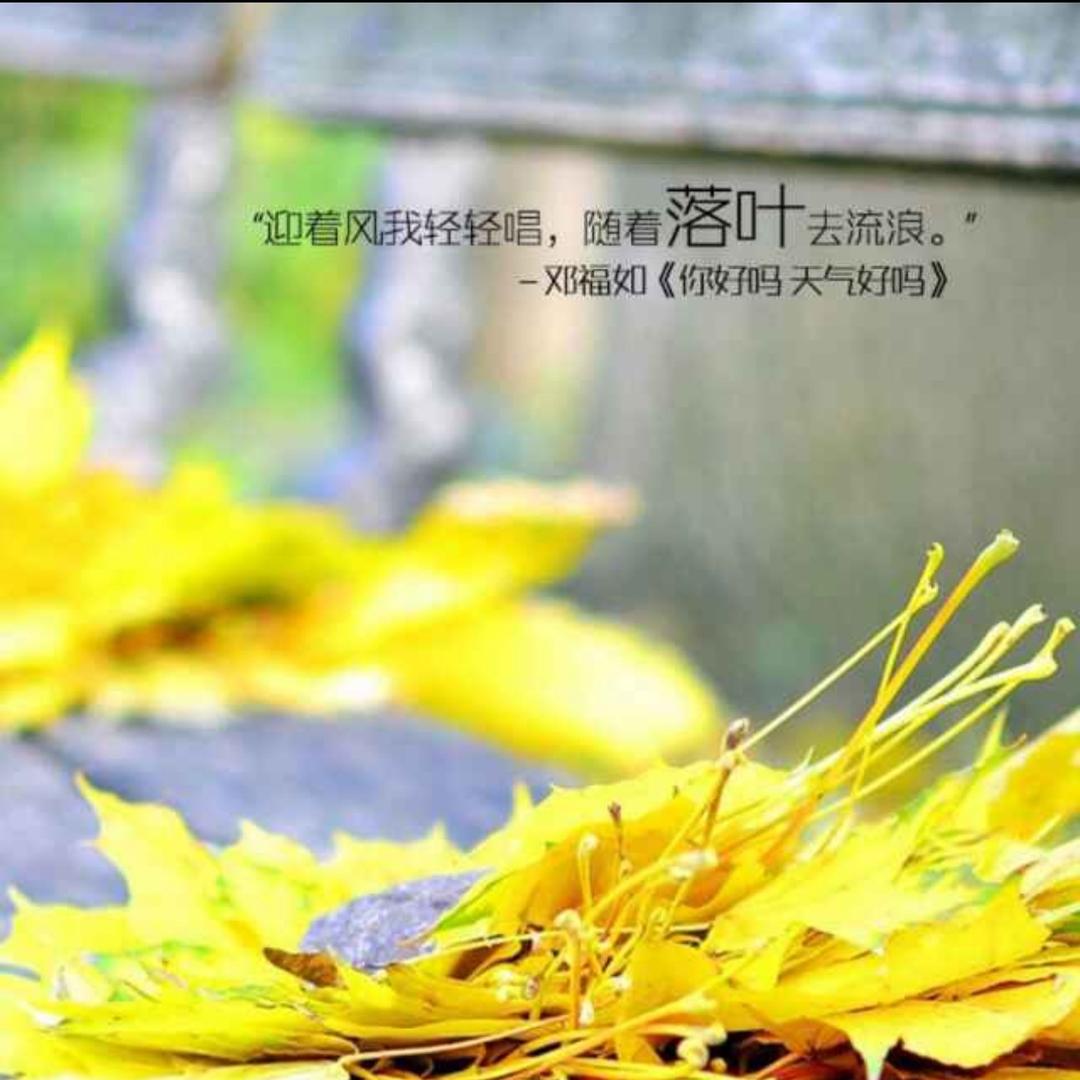 风雨同舟