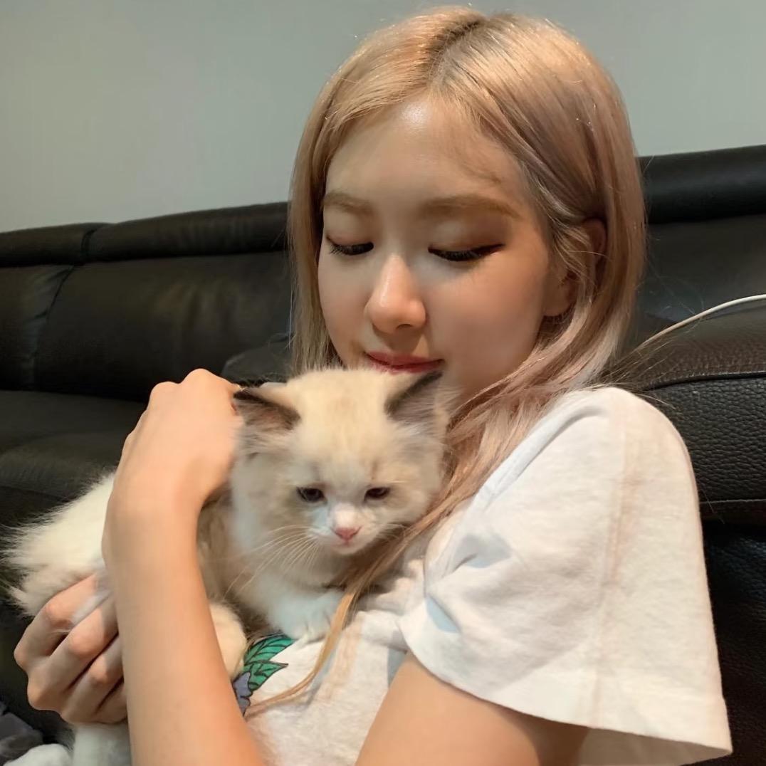 我不是小土豆🥔