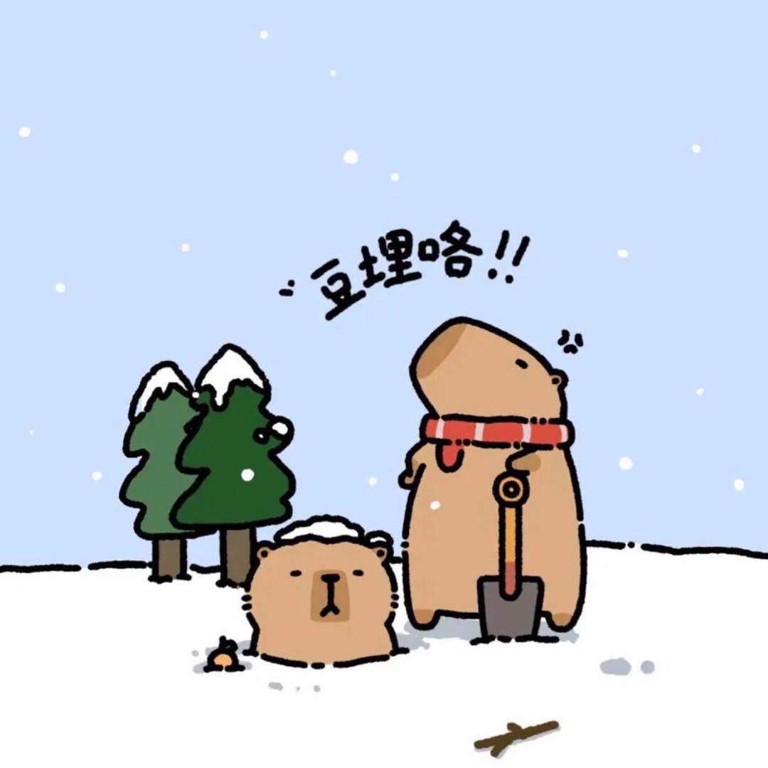 仙女不讲李🧚‍♀️