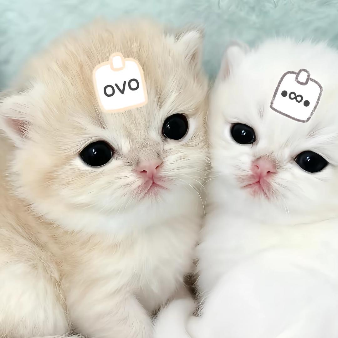 mimimimumu