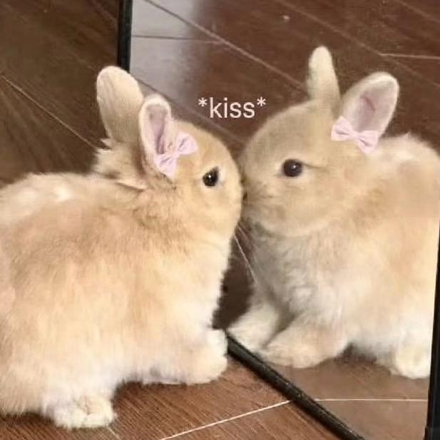 ʚ我在家里睡就不会被打搅了ɞ