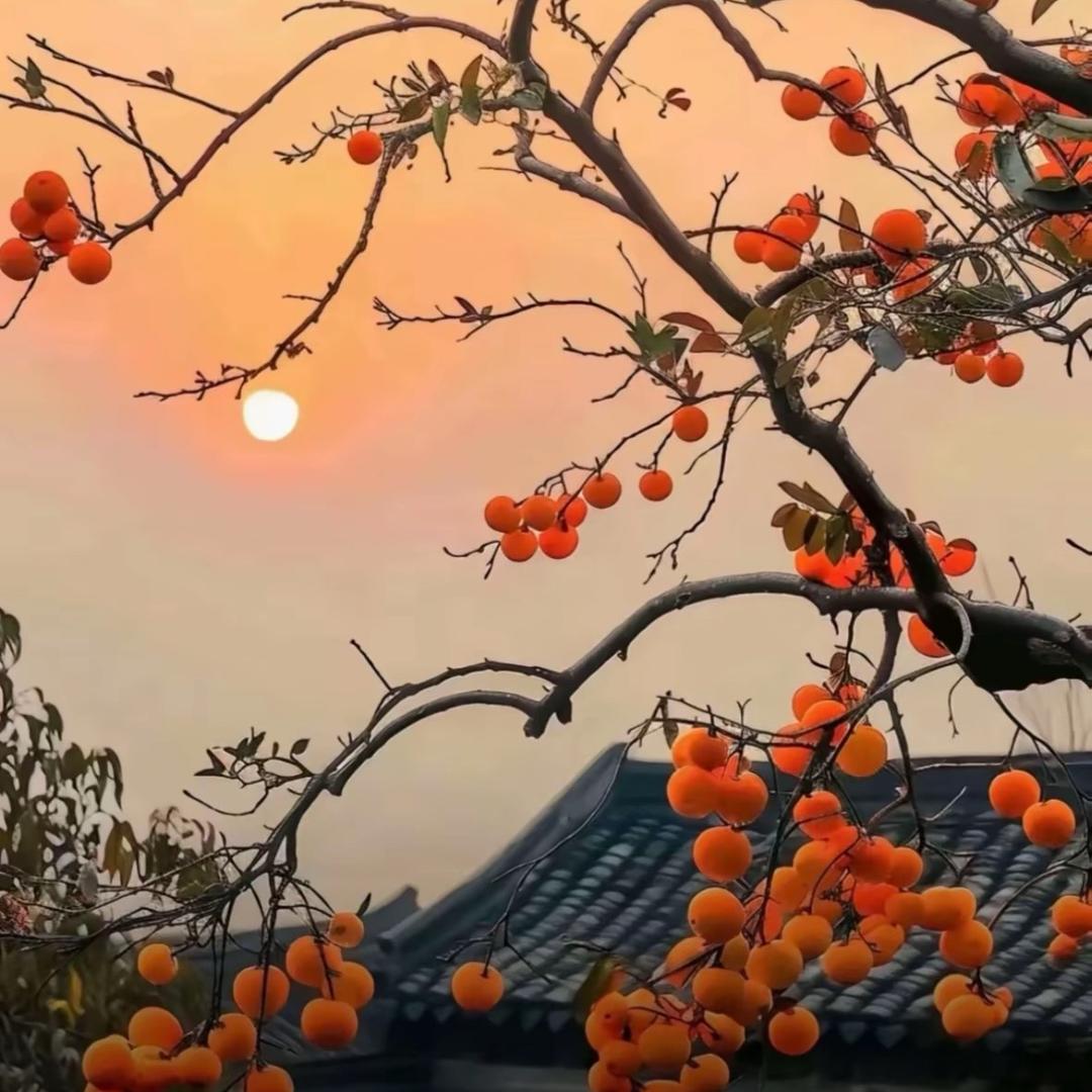 好久不见
