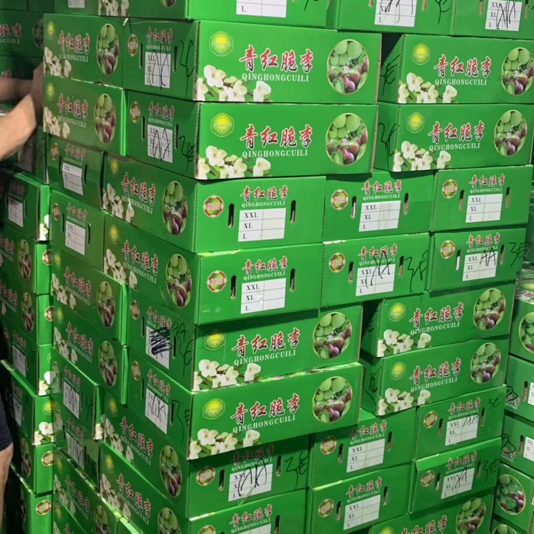 《重庆羌脆李种植园》