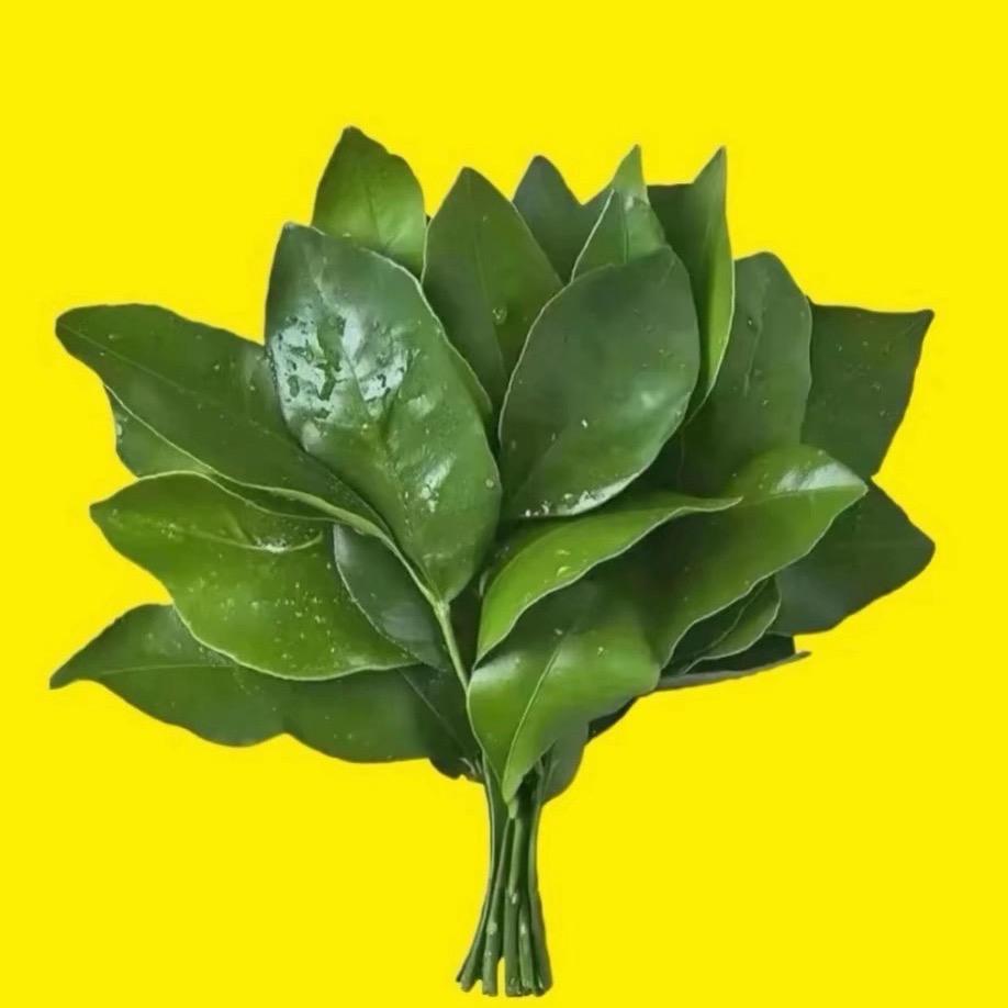 梦梦的生活日记