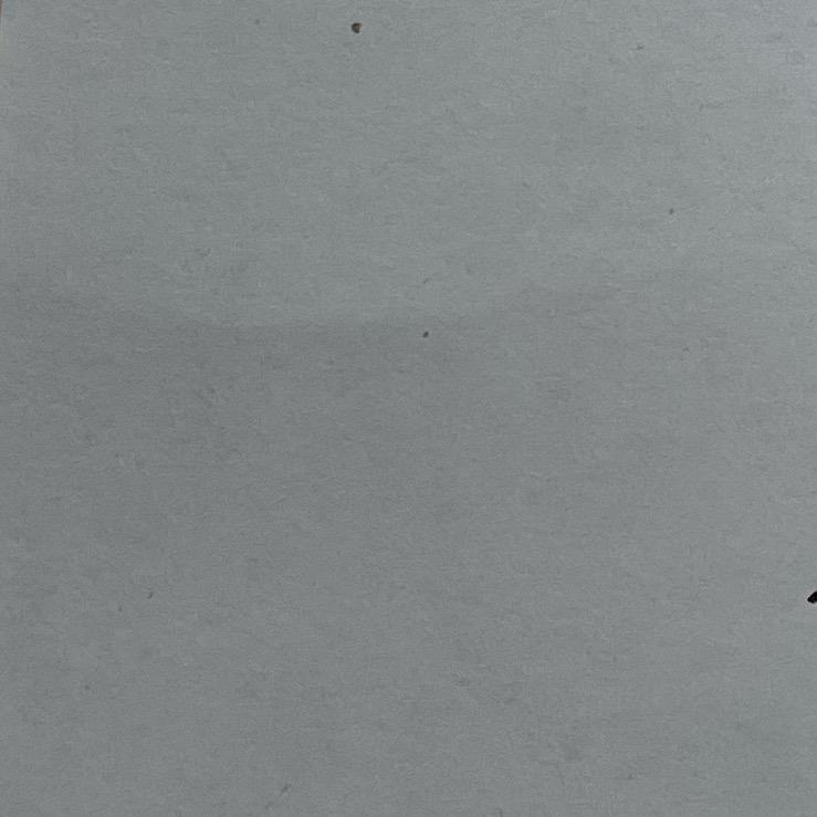 随风远行