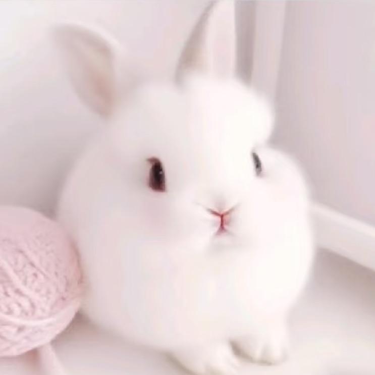 盈