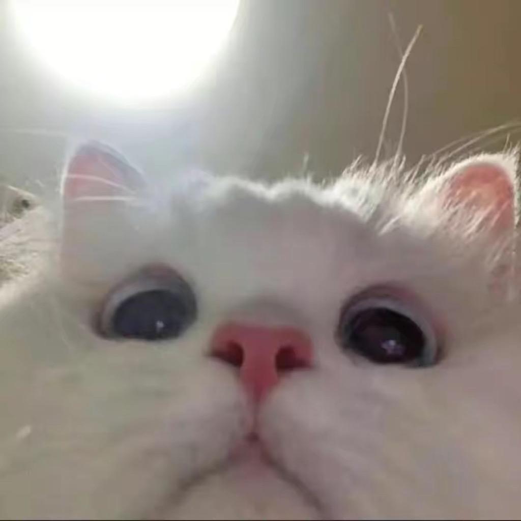 yhxixky