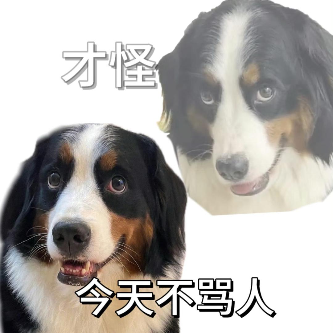 lu1uhiro