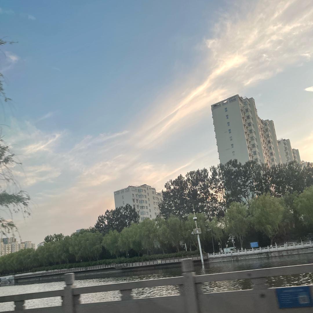 跃