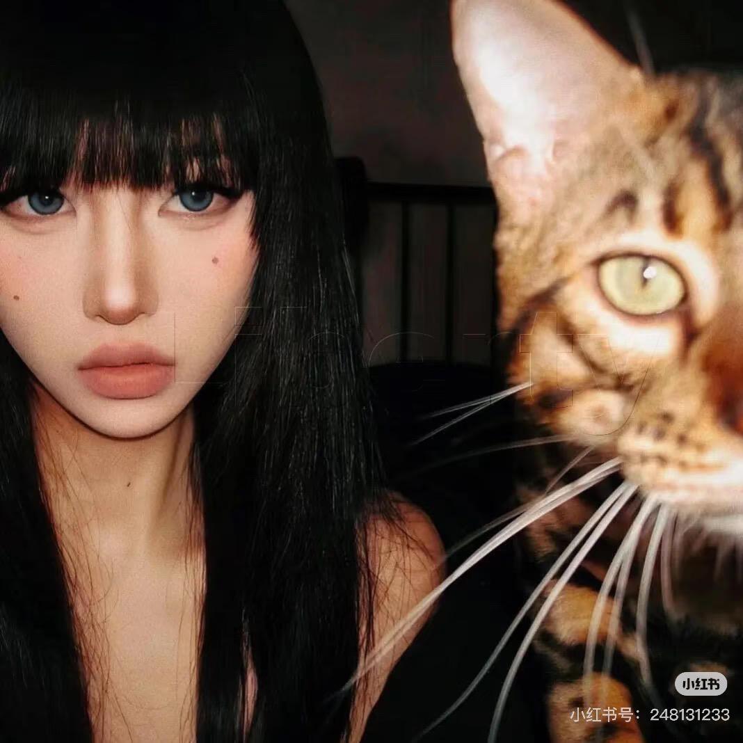 Kitty🐈