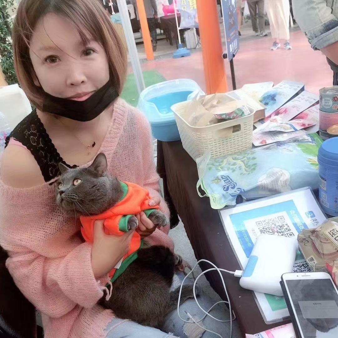 佳佳🉐️猫🐱