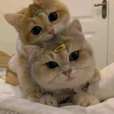 🍧 快乐每一天