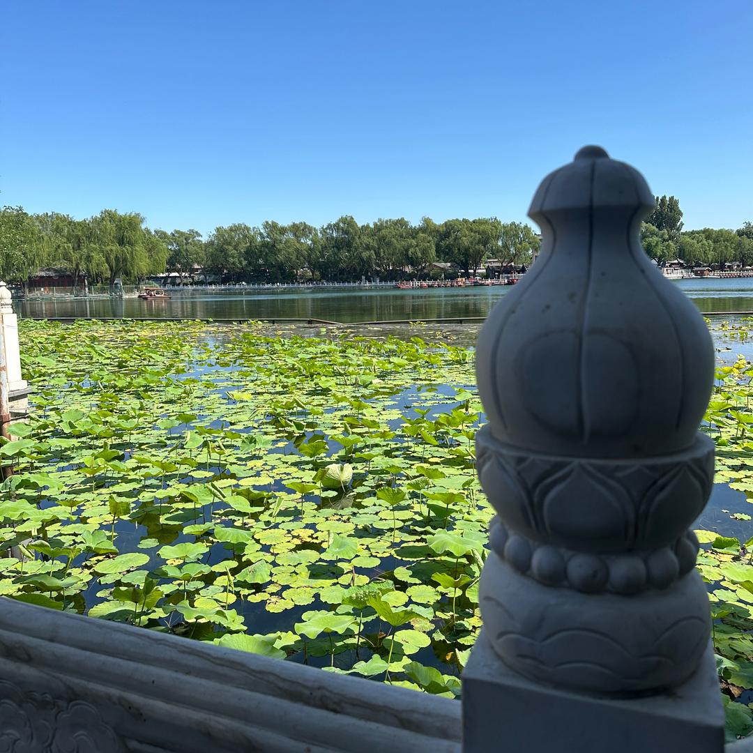 夏老爷好运加载中