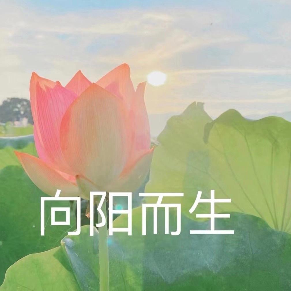 进宝歌PK