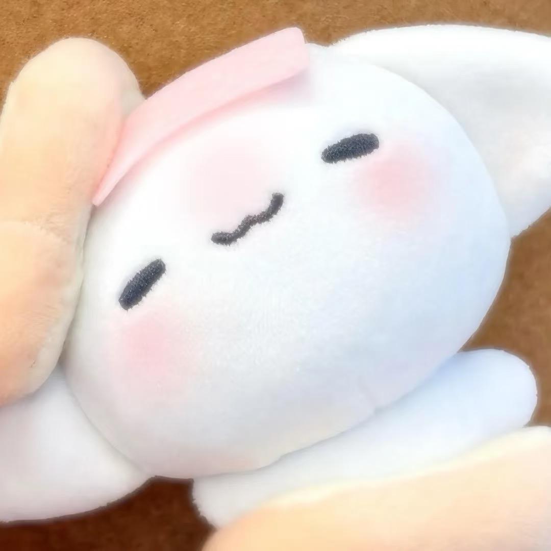 觉觉猪