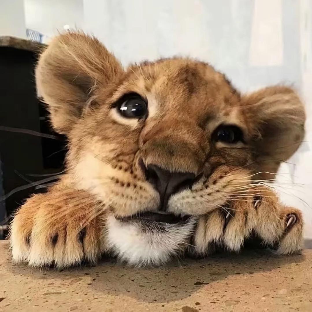 荷荷荷荷荷荷荷花.