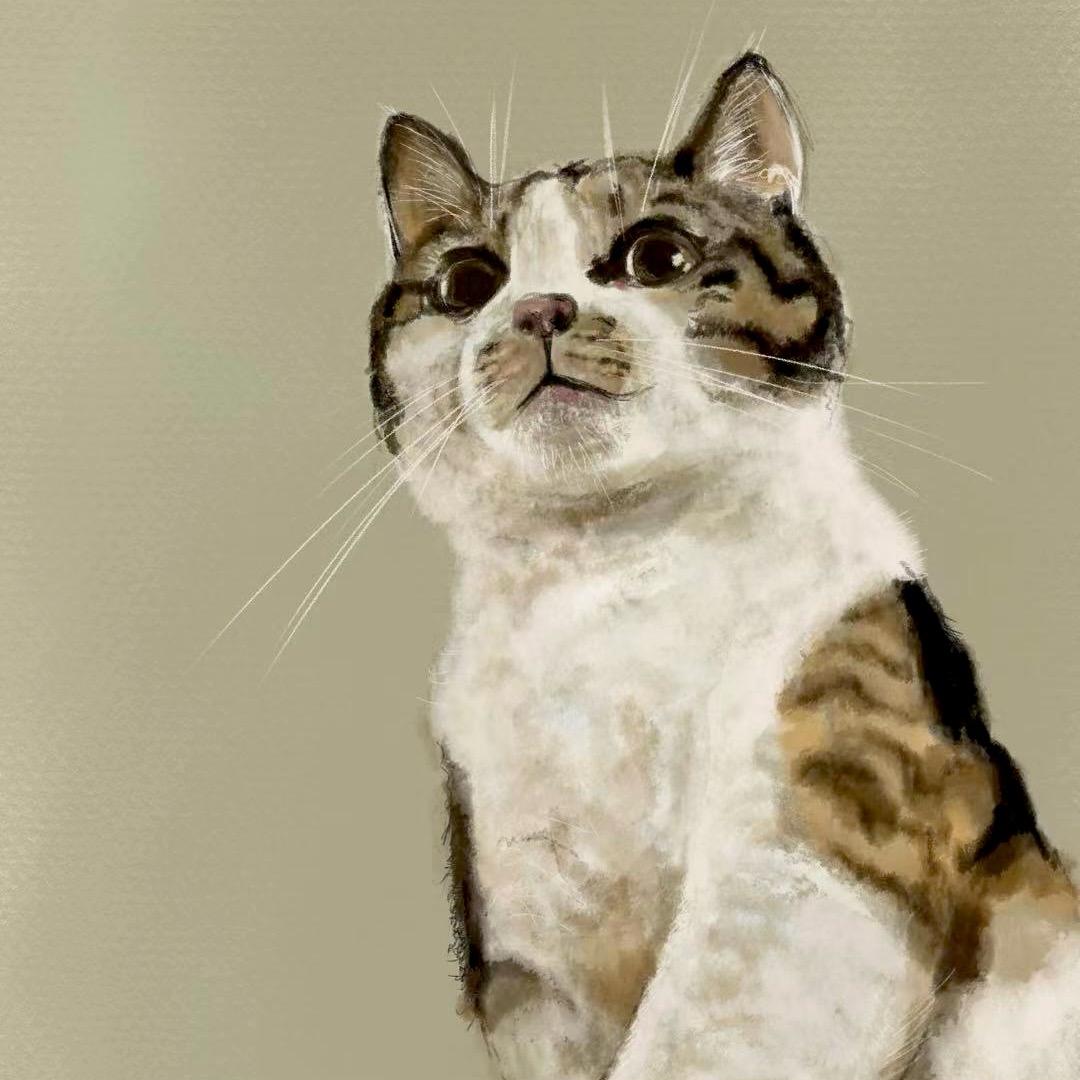 画笔小辛