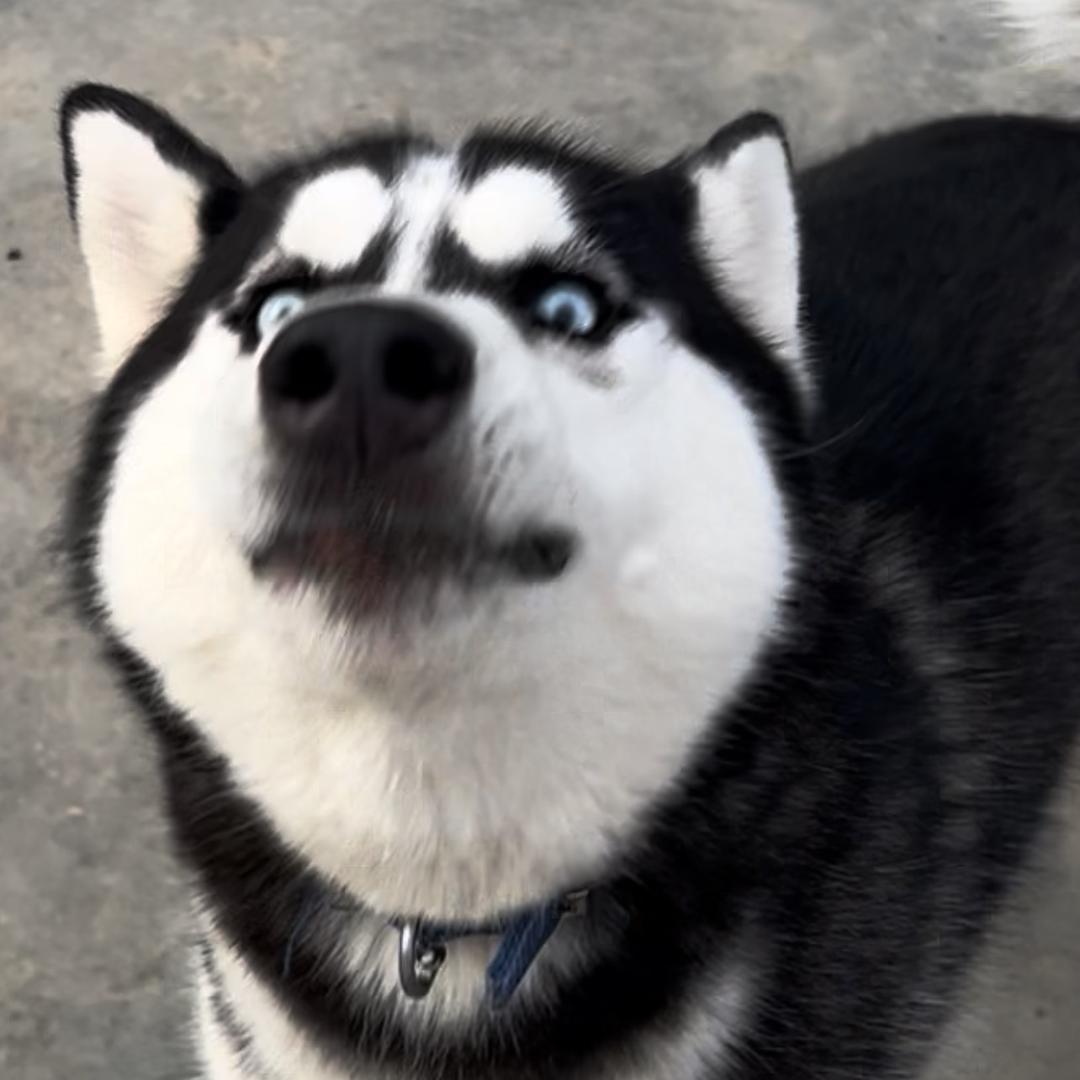 性感大母猴（大牙缝版）