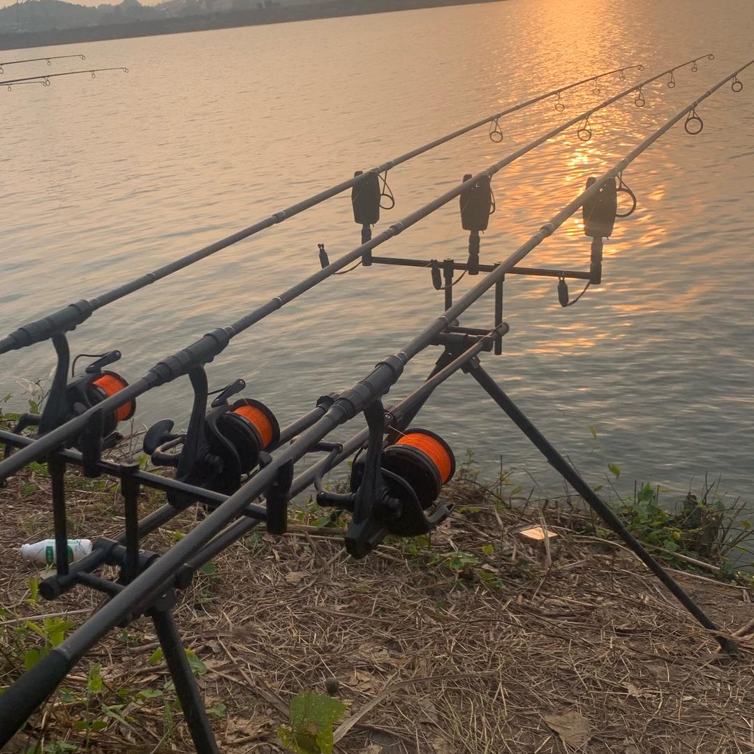 钓鱼佬爱玩欧鲤（野钓者俱乐部签约钓手）