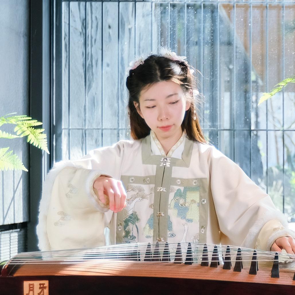 野生菇岛