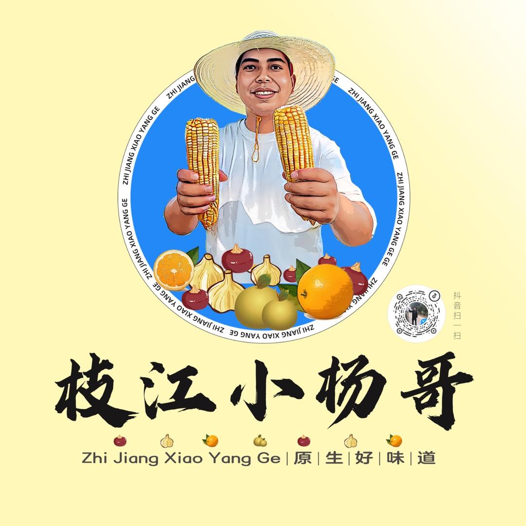 枝江小杨哥