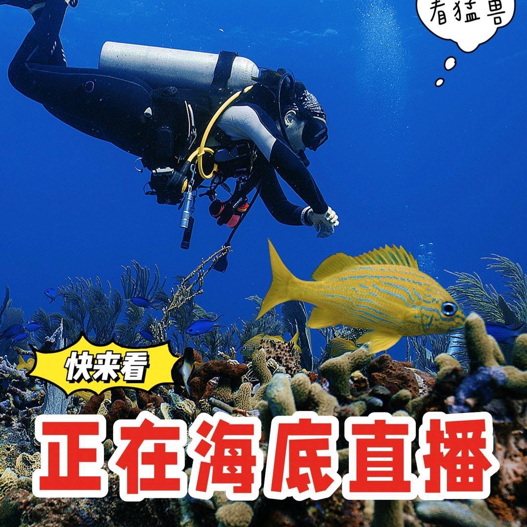 振达邦潜水