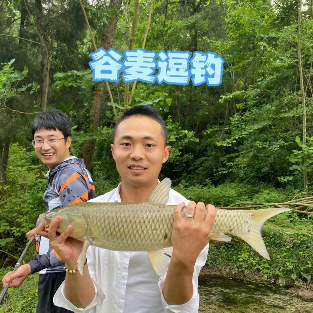 户外野钓鹏哥哥的小店