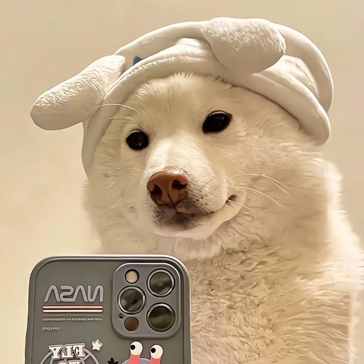 摆烂小狗